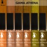 Gama Athena MUSSA