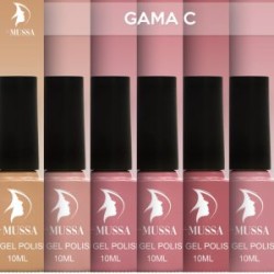 Gama C MUSSA