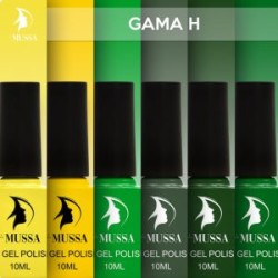 Gama H MUSSA