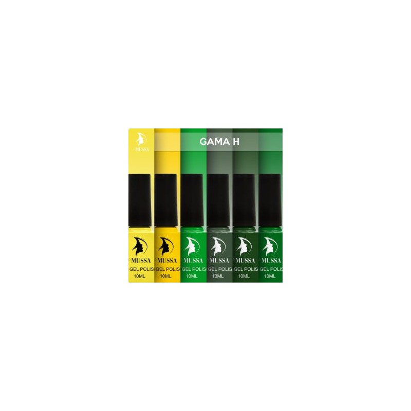 Gama H MUSSA