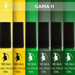 Gama H MUSSA