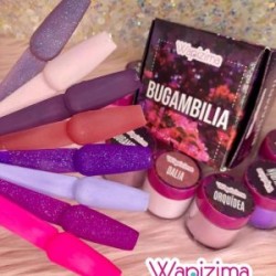 Colección de acrilicos Bugambilia Wapizima